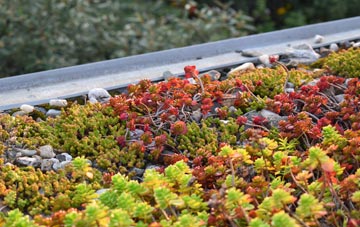 the cost of Cairminis green roof installation