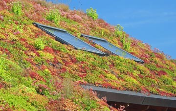 Cairminis living roof systems